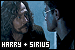 Harry Potter: Black, Sirius and Harry Potter