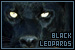 Big Cats: Leopards (black)
