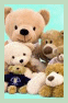 Stuffed Bears (Teddy Bears)